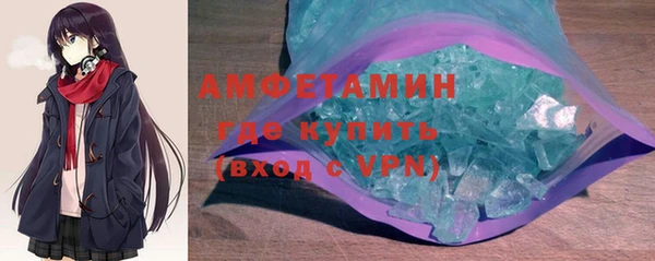 стаф Ельня