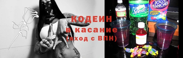 стаф Ельня
