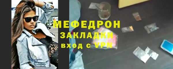 стаф Ельня