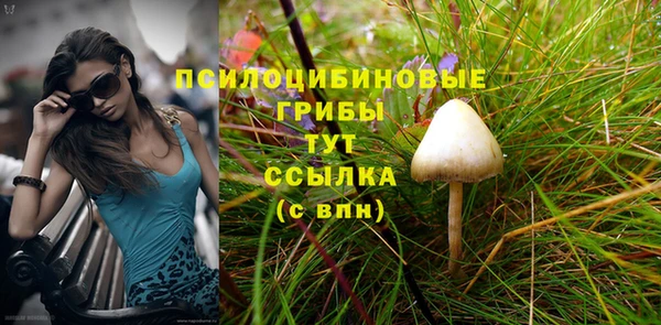 МДМА Елизово