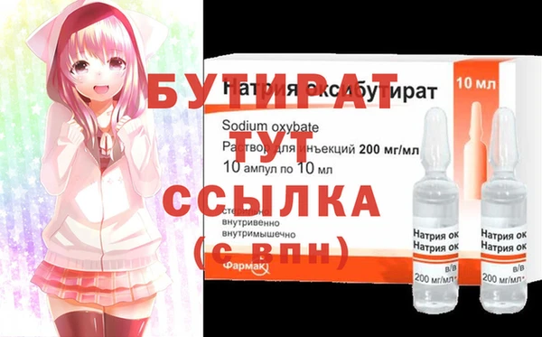стаф Ельня
