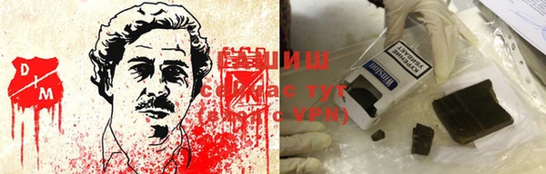 стаф Ельня