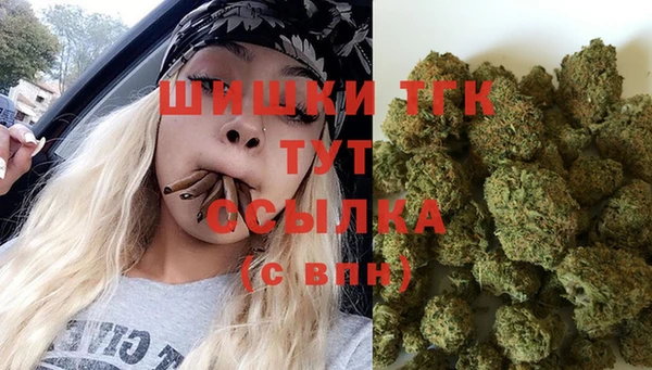 стаф Ельня