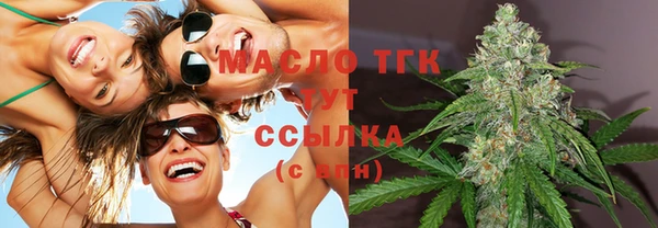 стаф Ельня