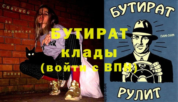 стаф Ельня