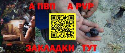 шишки Кимры