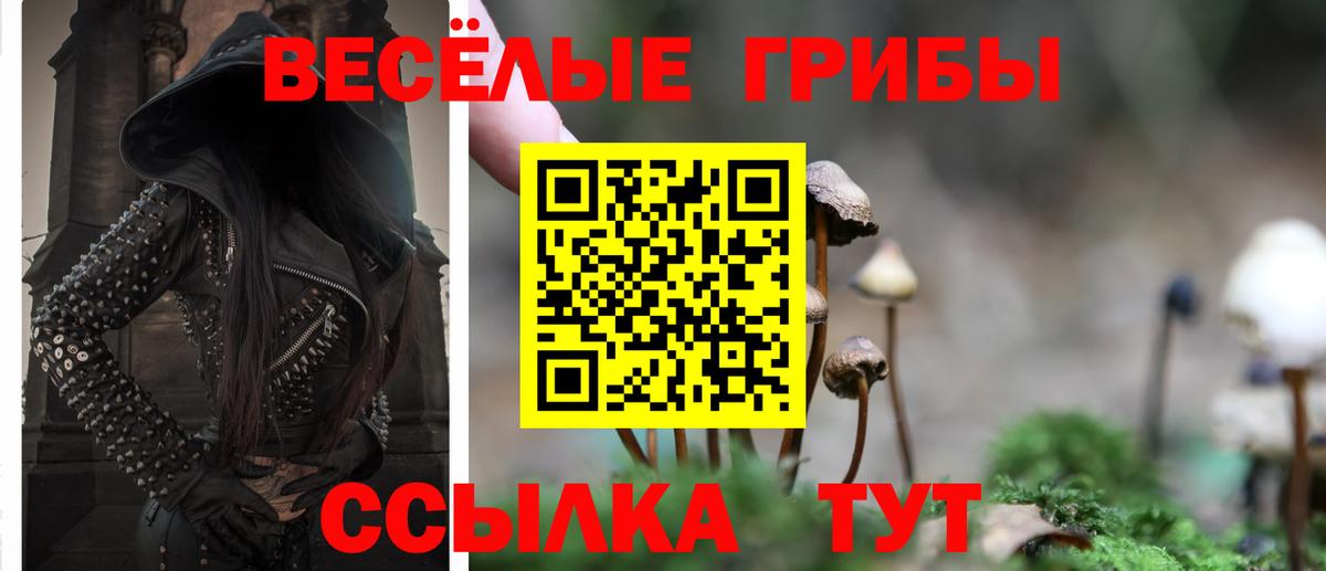Псилоцибиновые грибы мицелий  где купить наркоту  Спасск-Дальний 