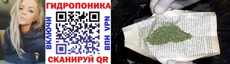 магазин    Спасск-Дальний  мега вход  Шишки марихуана White Widow 